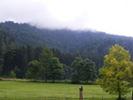 DSCF8784.jpg