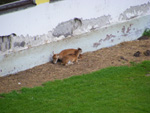 DSCF8792.jpg