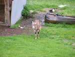 DSCF8795.jpg