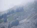 DSCF8808.jpg