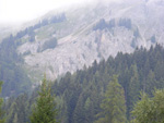 DSCF8809.jpg