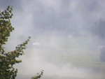 DSCF8881.jpg