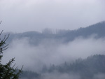 DSCF8884.jpg