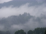 DSCF8885.jpg