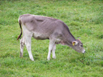 DSCF8906.jpg