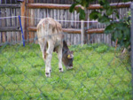 DSCF8908.jpg