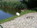 haditechnikai-muzeum_015.jpg