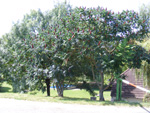 haditechnikai-muzeum_038.jpg