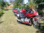 DSCF9625.jpg