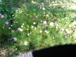 DSCF9628.jpg
