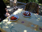 DSCF9640.jpg