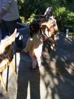 DSCF9669.jpg