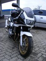 salgo_006.jpg