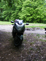 salgo_061.jpg