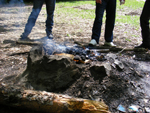 salgo_080.jpg