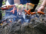 salgo_096.jpg