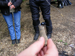 salgo_139.jpg