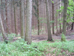 salgo_154.jpg