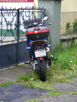 salgo_208.jpg