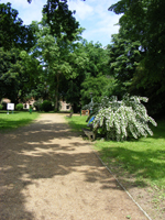 szigetvar-baja_062.jpg