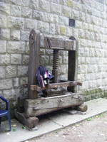 DSCF2528.jpg