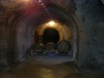 DSCF2532.jpg