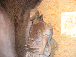 DSCF2534.jpg
