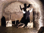 DSCF2537.jpg