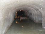 DSCF2546.jpg