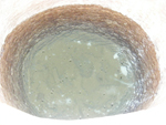DSCF2550.jpg