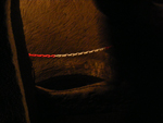 DSCF2551.jpg