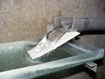DSCF2552.jpg