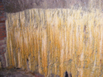 DSCF2562.jpg