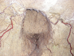 DSCF2565.jpg