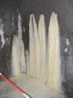 DSCF2571.jpg