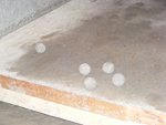 DSCF2577.jpg