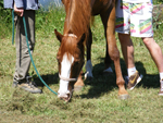 ijaszat_oktatas_221.jpg