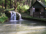 haleveszet_002.jpg