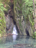 haleveszet_005.jpg