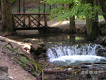 haleveszet_009.jpg