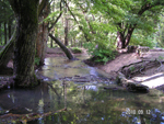 haleveszet_010.jpg