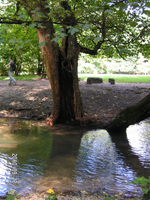 haleveszet_011.jpg