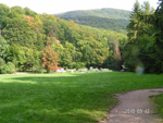 haleveszet_012.jpg