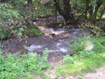 haleveszet_013.jpg