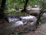 haleveszet_024.jpg