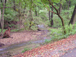 haleveszet_029.jpg