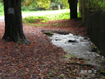 haleveszet_032.jpg