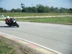 kakucsring_011.jpg