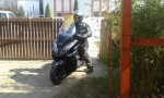 Greenhorn